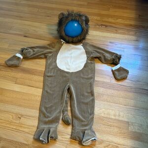 Lion Kids’ costume